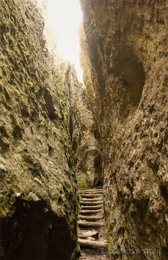 Callejón de Vida