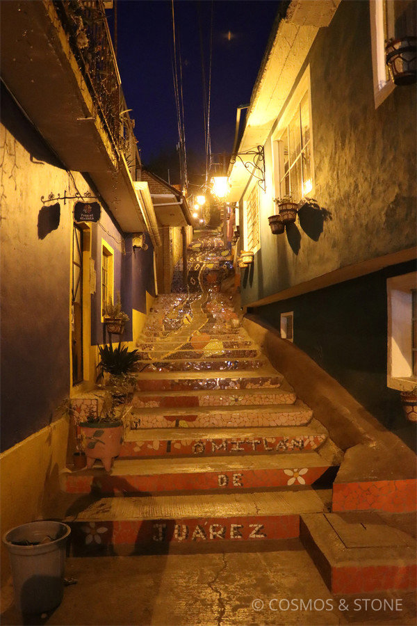 Camino de Vida